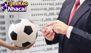 Trường hợp lựa chọn đội cửa trên