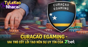 Giấy phép Curacao Egaming – Vai trò cốt lõi tạo nên sự uy tín của Zbet