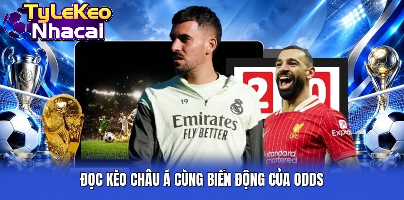 Đọc Kèo Châu Á cùng biến động của odds