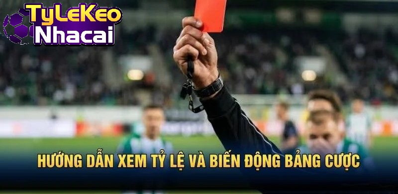 Hướng dẫn xem tỷ lệ và biến động bảng cược