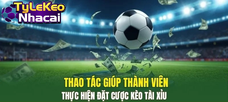 Thao tác giúp thành viên thực hiện đặt cược Kèo Tài Xỉu