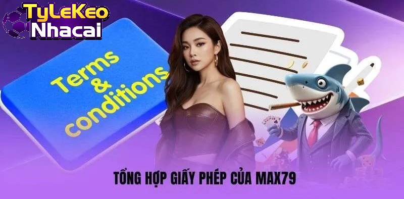Tổng hợp giấy phép của MAX79